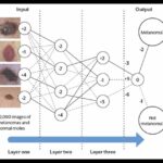 Artificial neural networks date back to the 1950s – now they are ready to transform healthcare